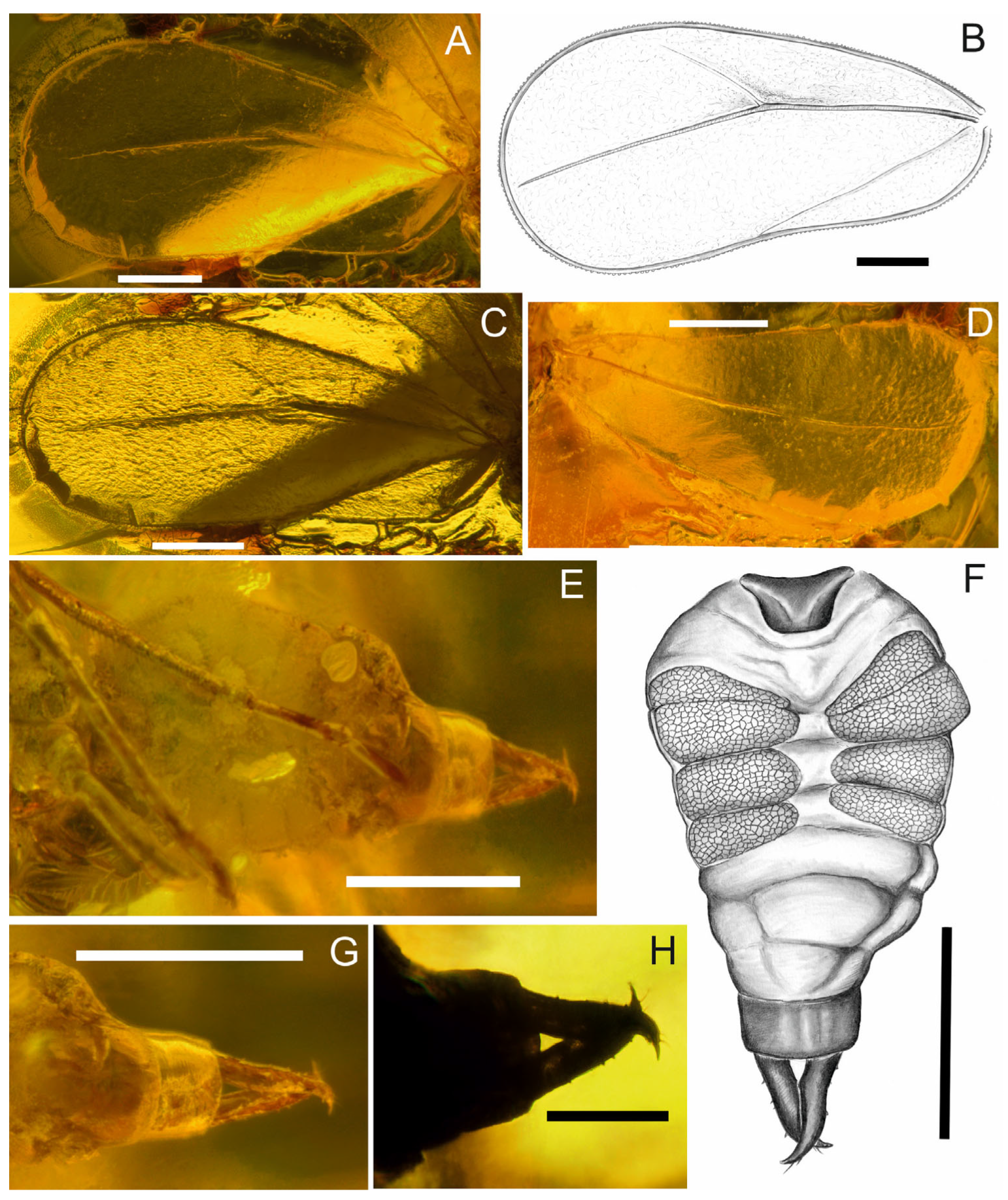 Insects 17 00050 g003 Insects 17 00050 g003