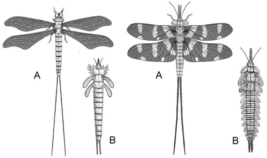 Insects 17 00103 g004