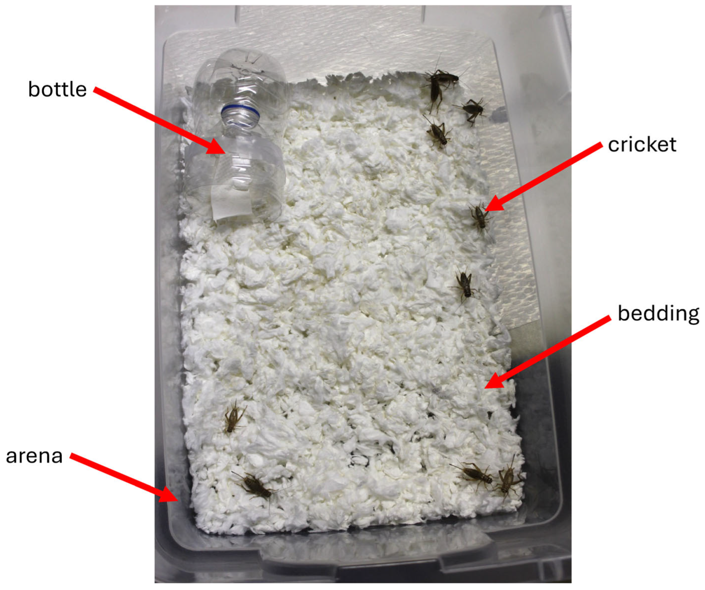 Selected Essential Oils Act as Repellents Against the House Cricket ...