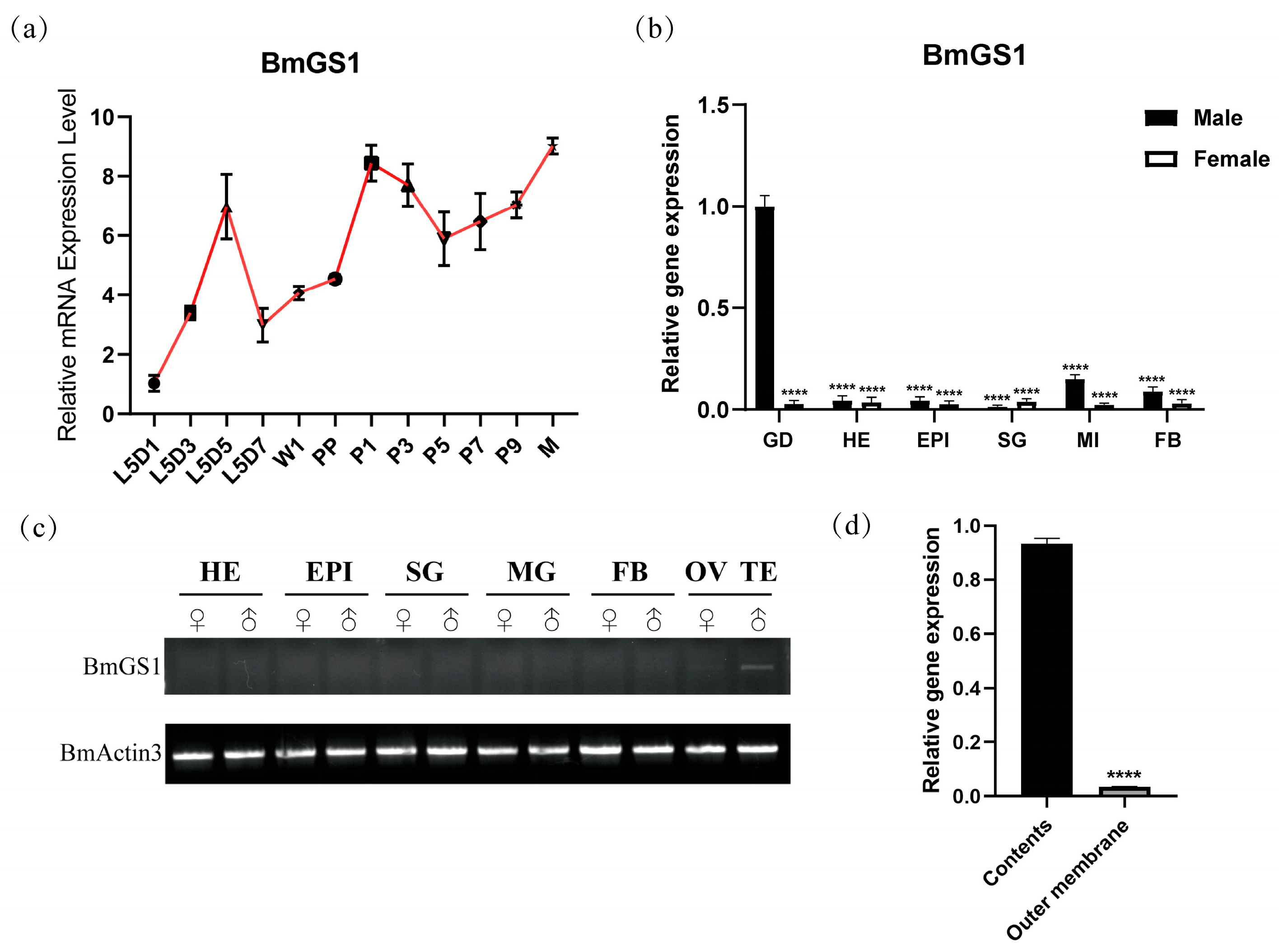 Insects 17 00135 g001