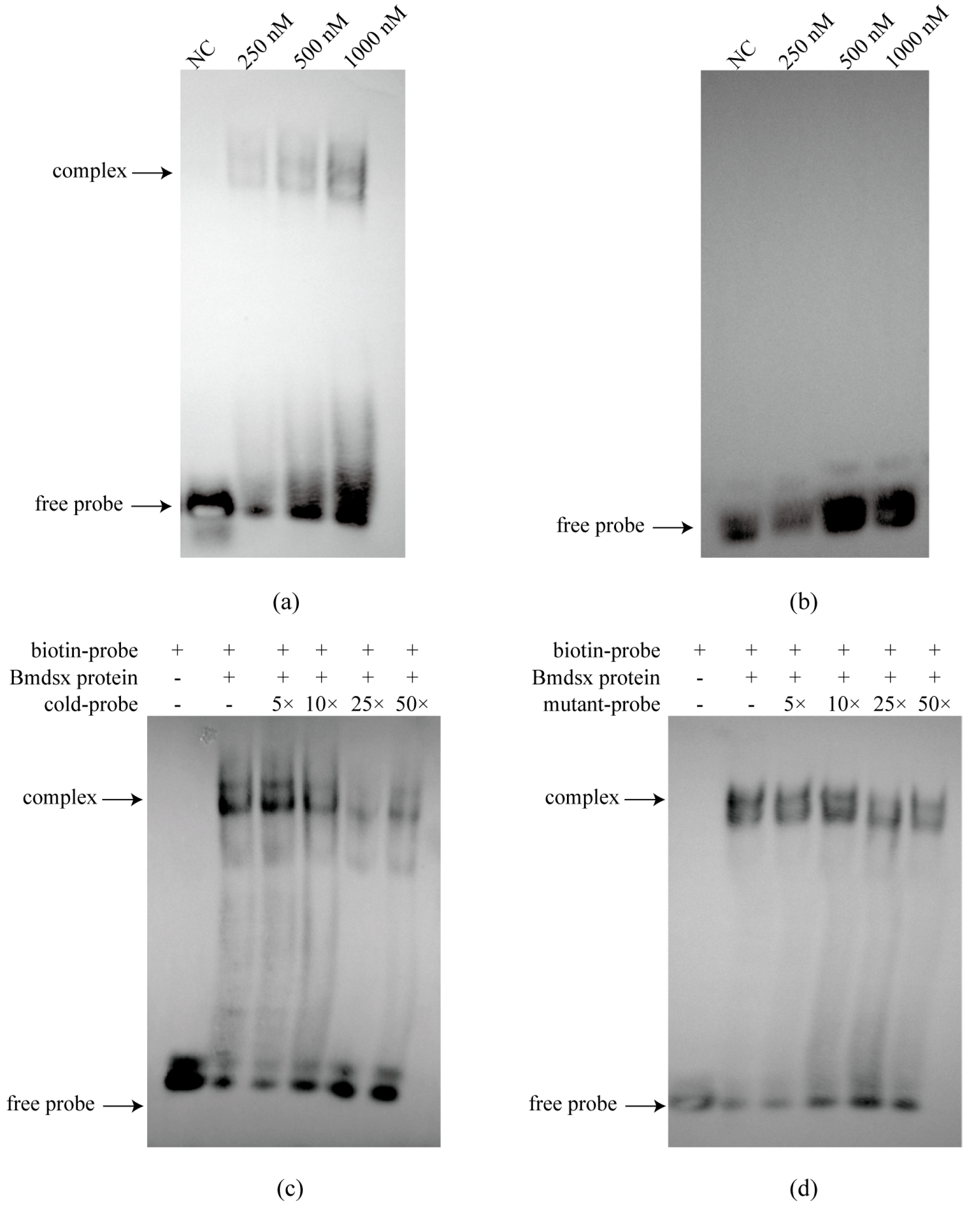 Insects 17 00135 g003