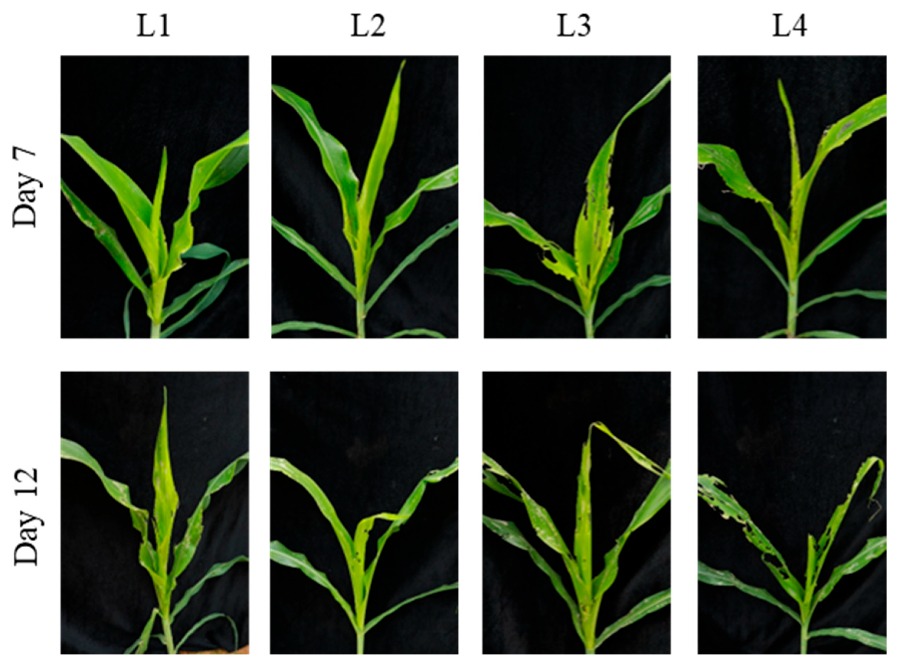 Insects 17 00136 g005