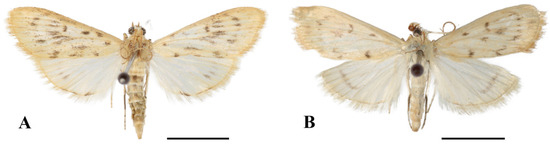 Insects 17 00149 g008