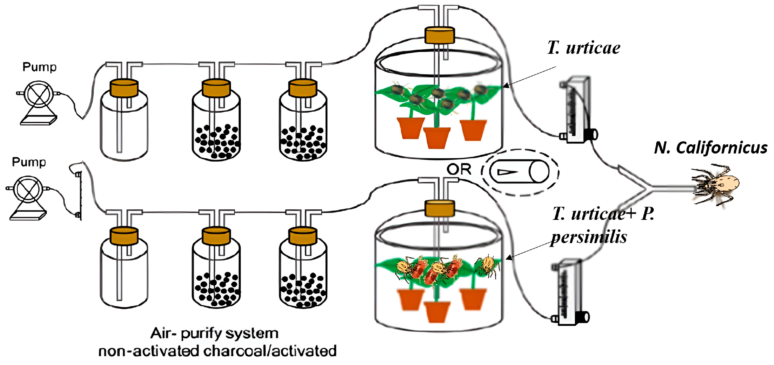 Insects 17 00157 g001 Insects 17 00157 g001