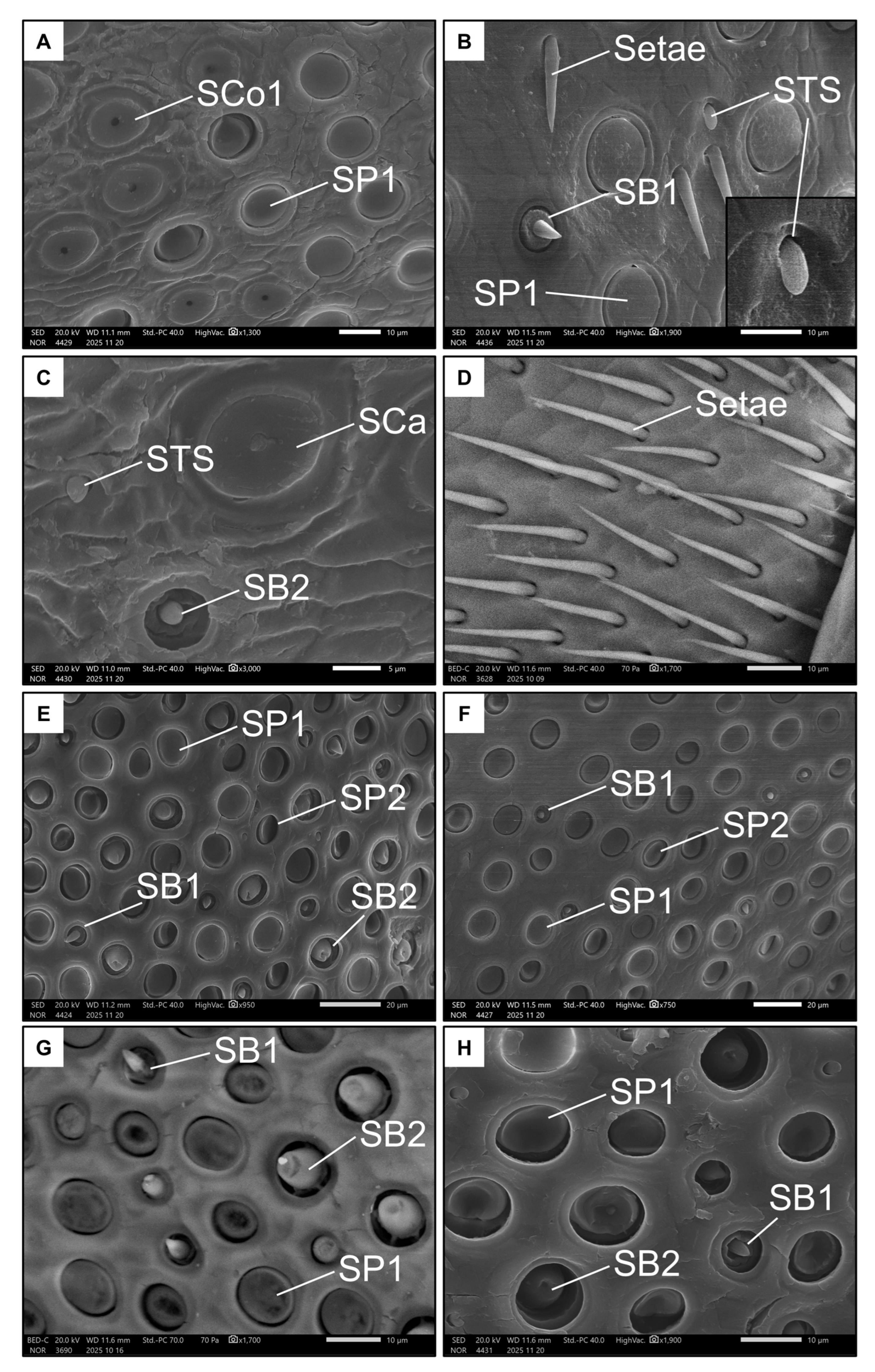 Insects 17 00160 g005 Insects 17 00160 g005