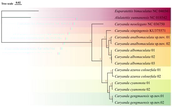 Insects 17 00164 g001