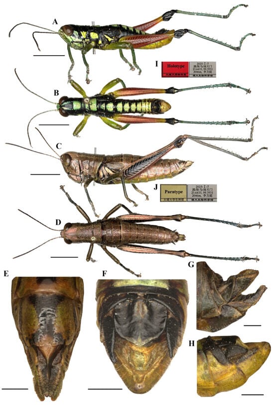 Insects 17 00164 g003