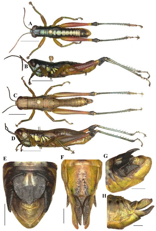 Insects 17 00164 g004