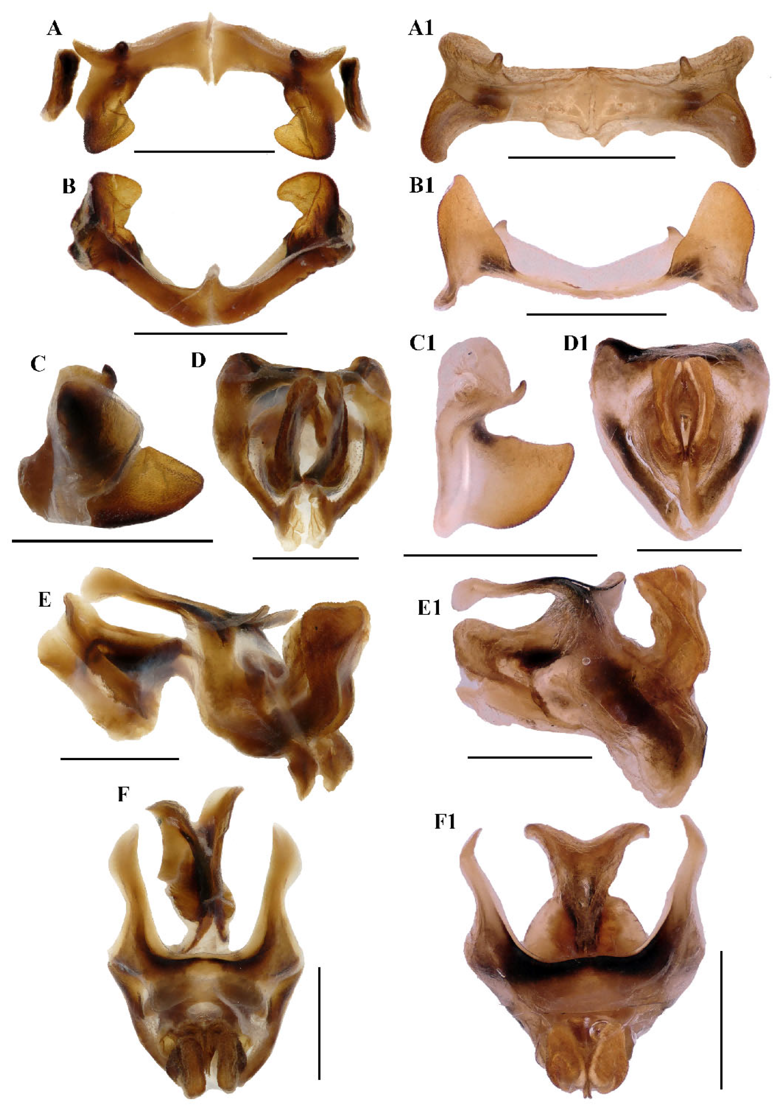 Insects 17 00164 g005 Insects 17 00164 g005