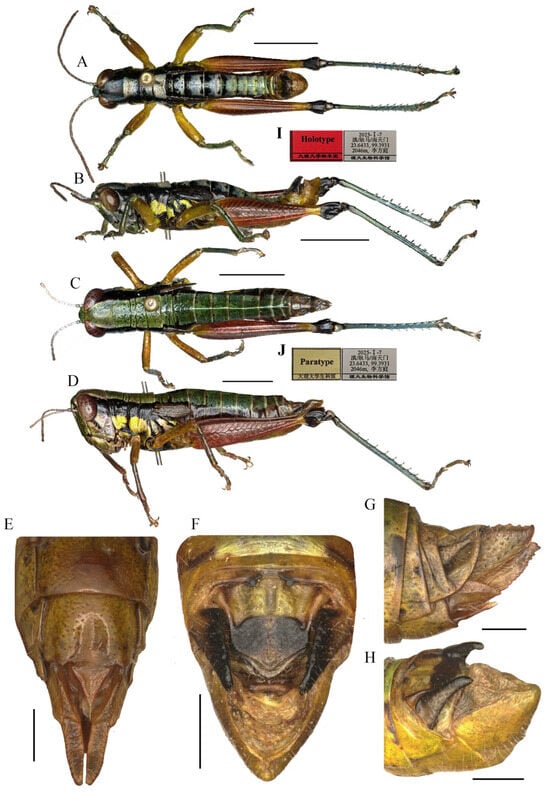 Insects 17 00164 g007