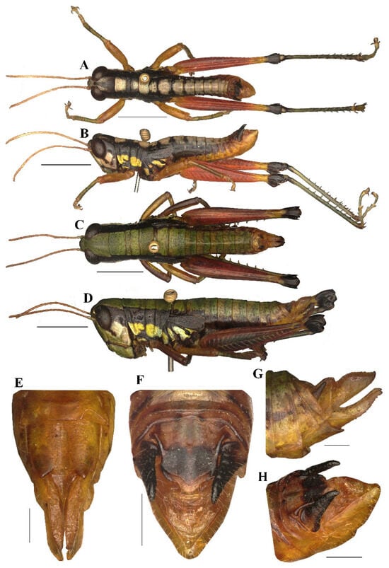 Insects 17 00164 g008