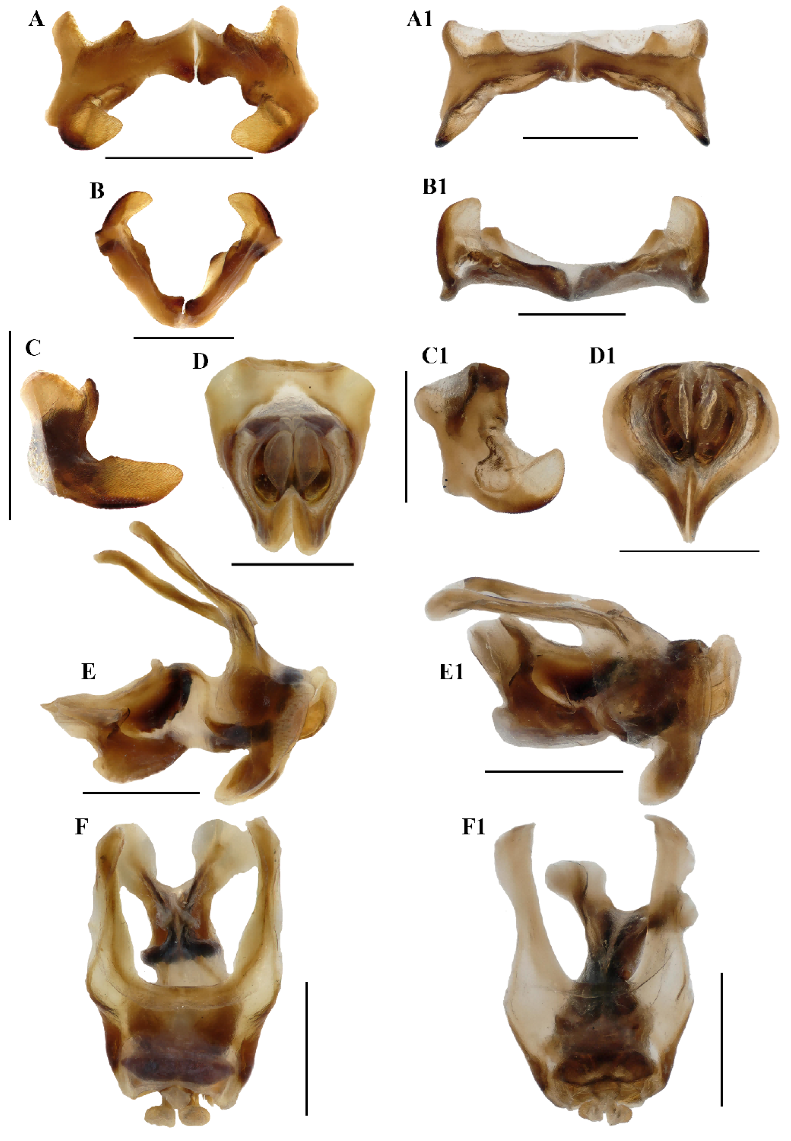 Insects 17 00164 g009 Insects 17 00164 g009