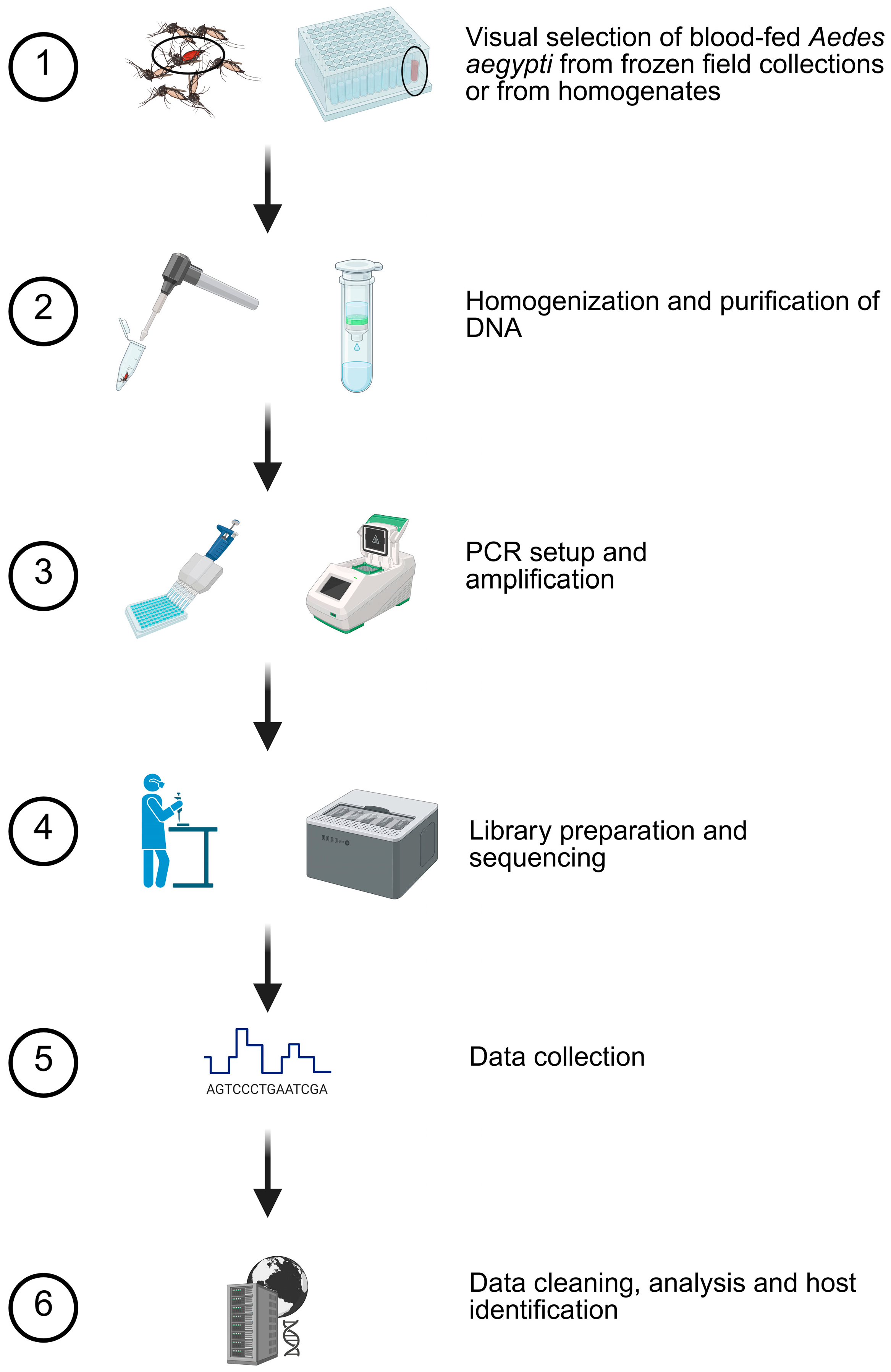 Insects 17 00175 g001