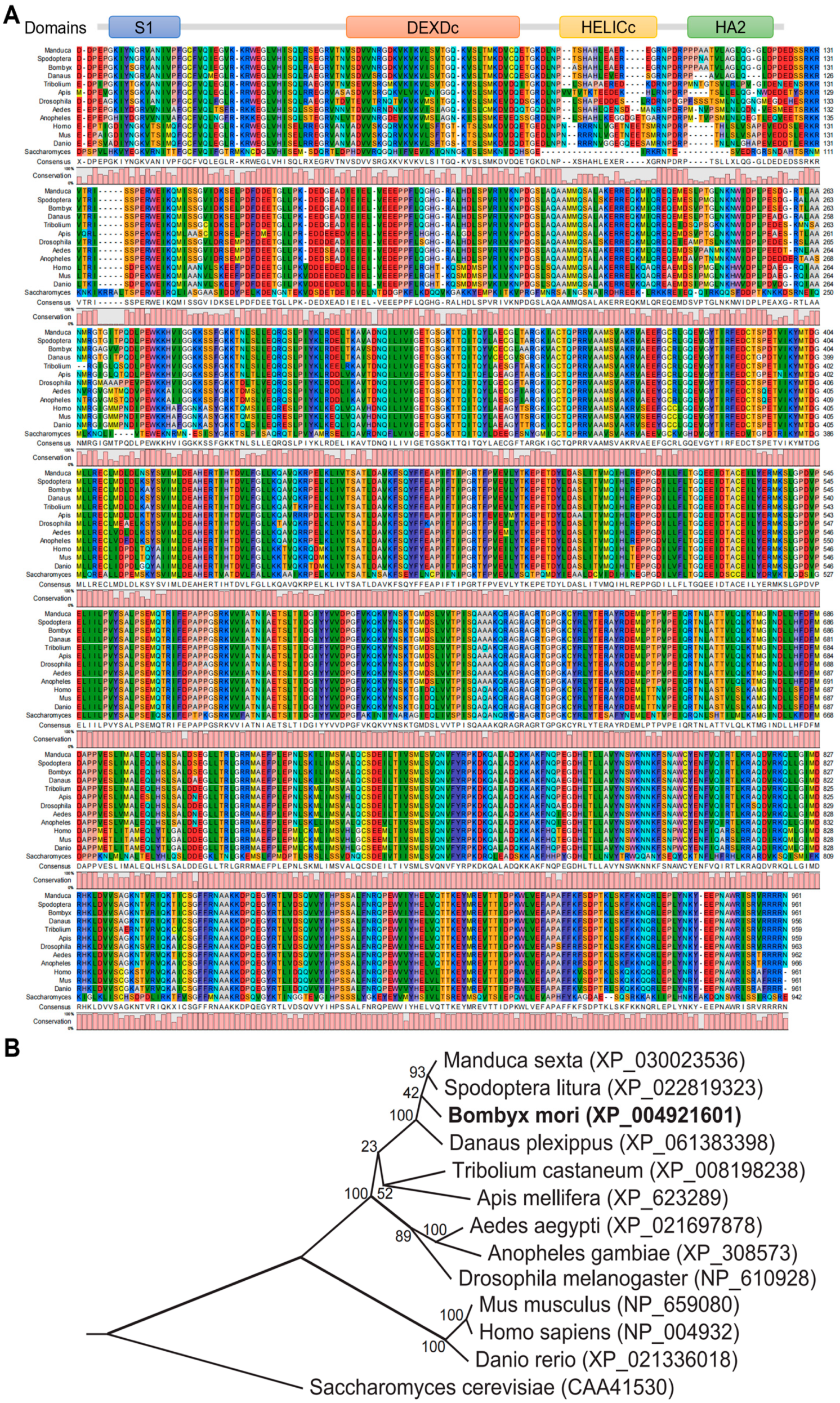 Insects 17 00236 g001