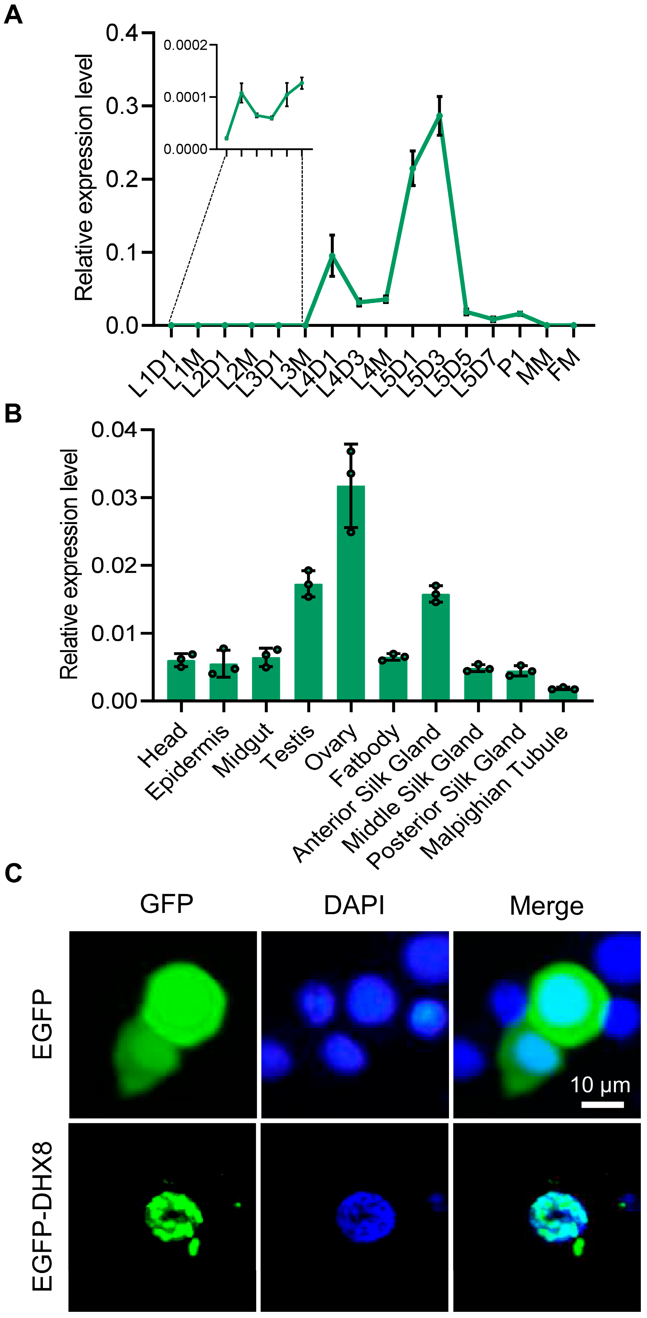 Insects 17 00236 g002