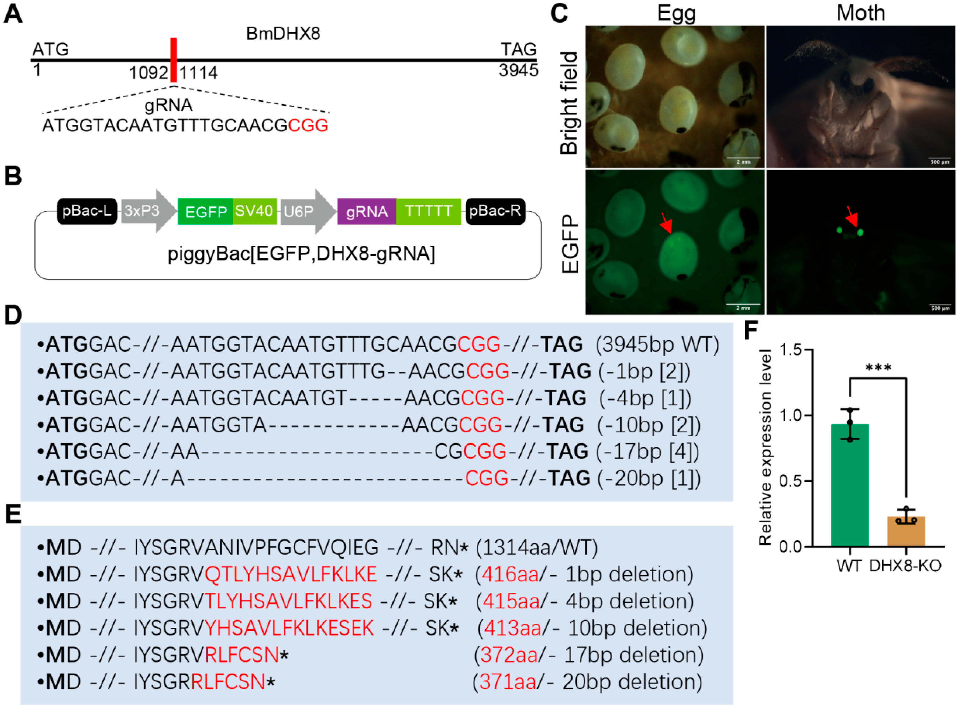 Insects 17 00236 g003