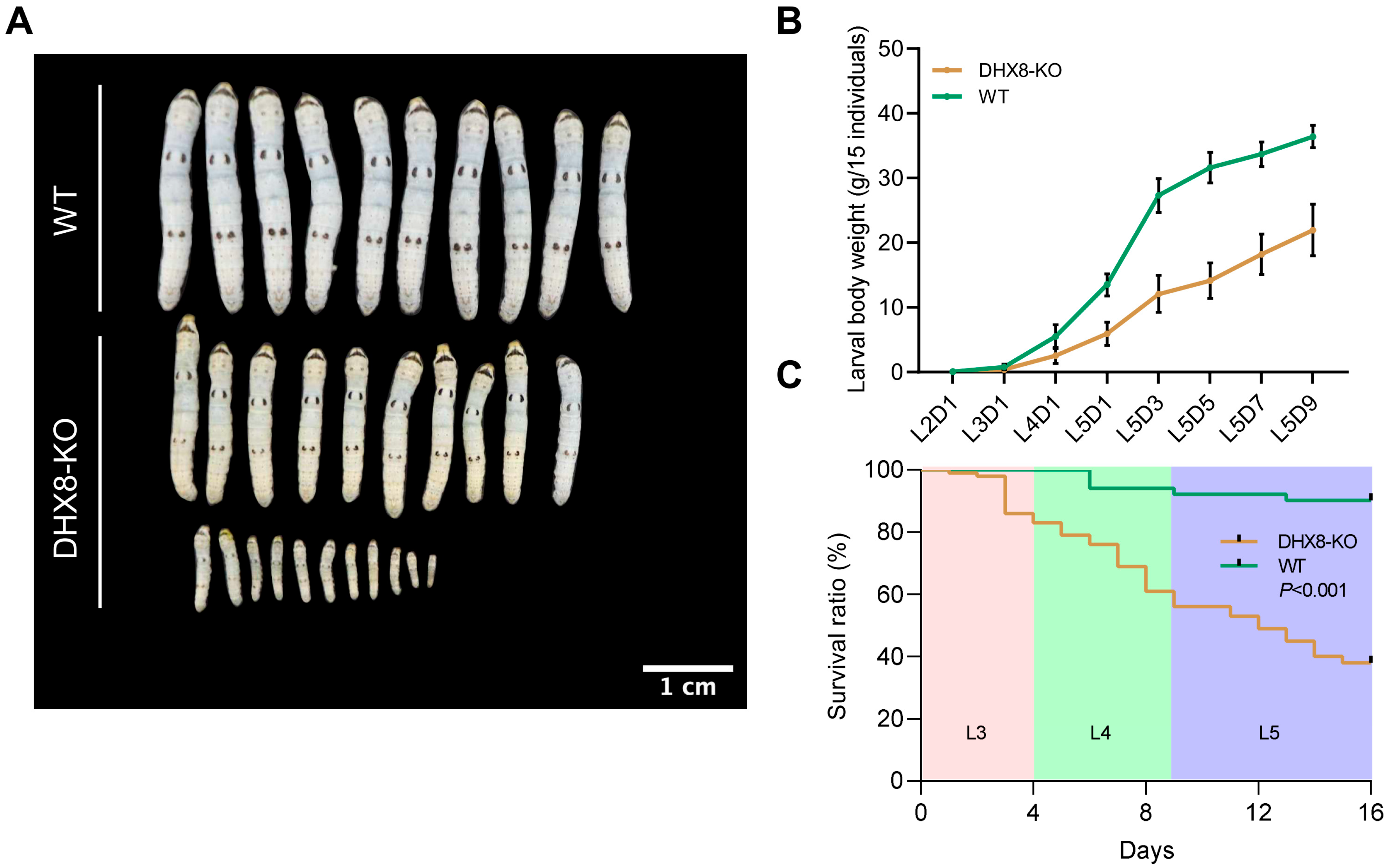 Insects 17 00236 g004