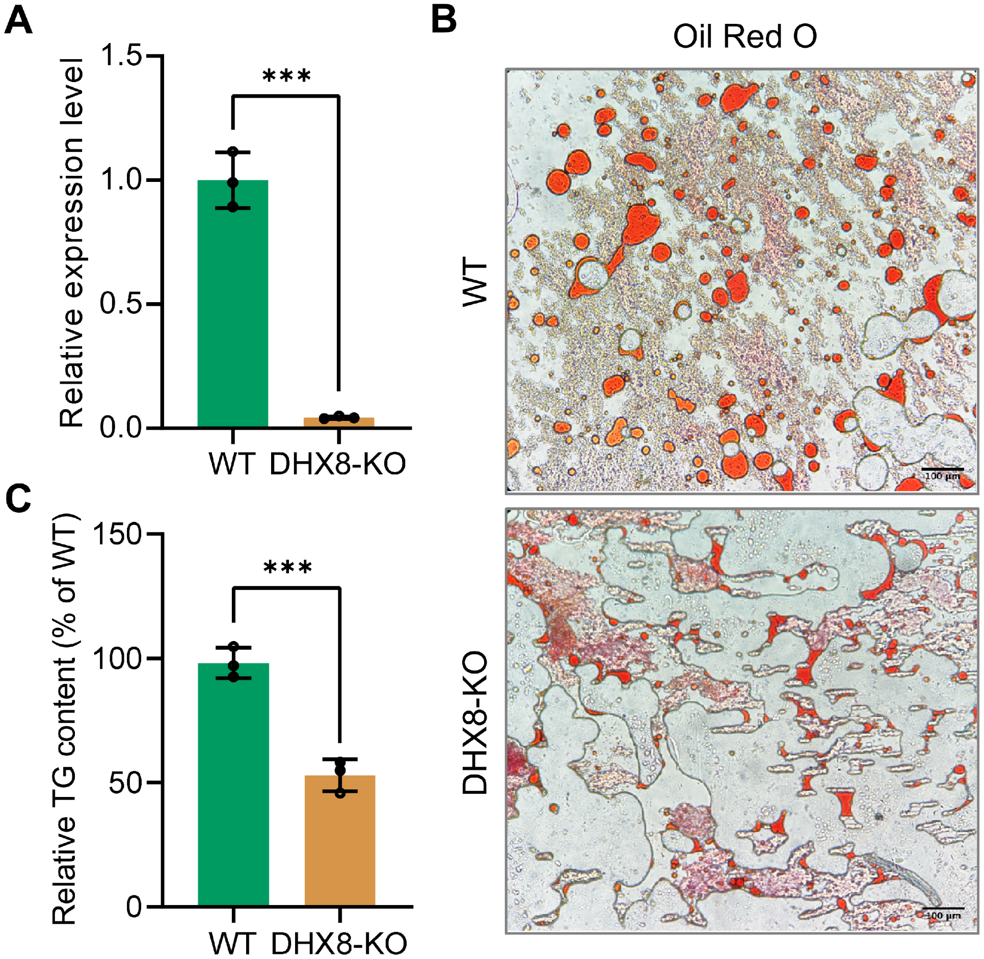 Insects 17 00236 g005