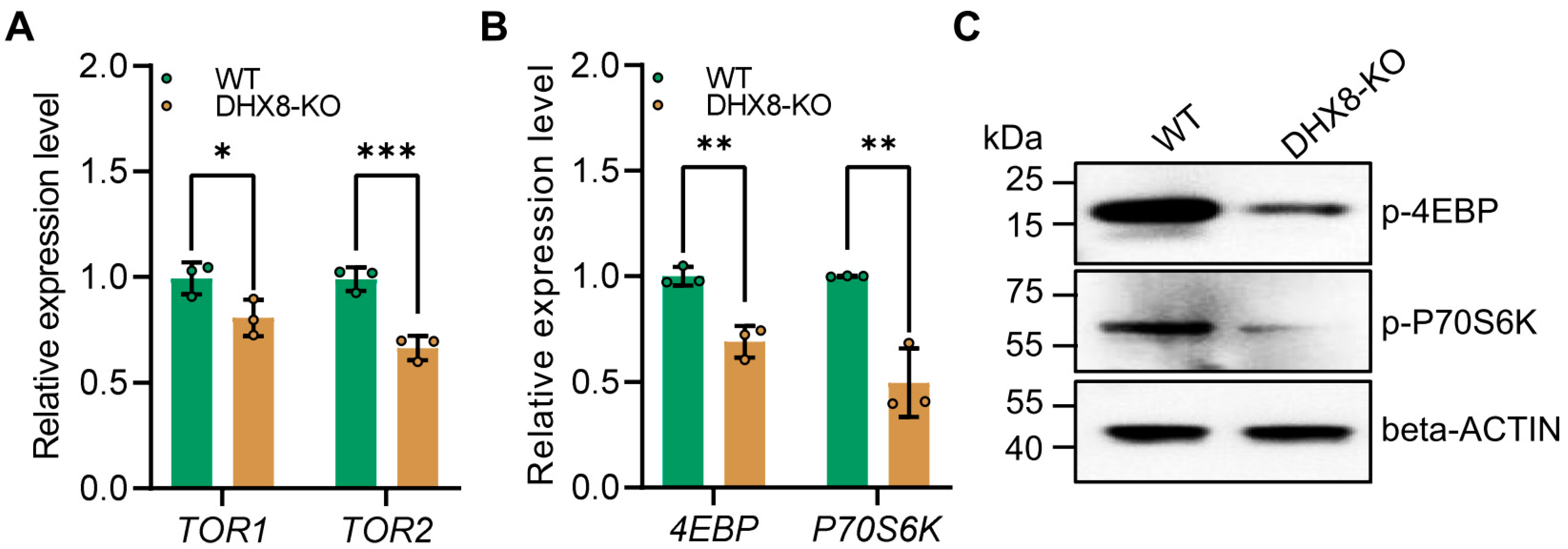 Insects 17 00236 g007
