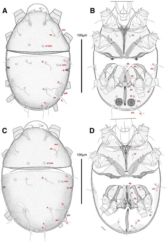 Insects 17 00237 g002