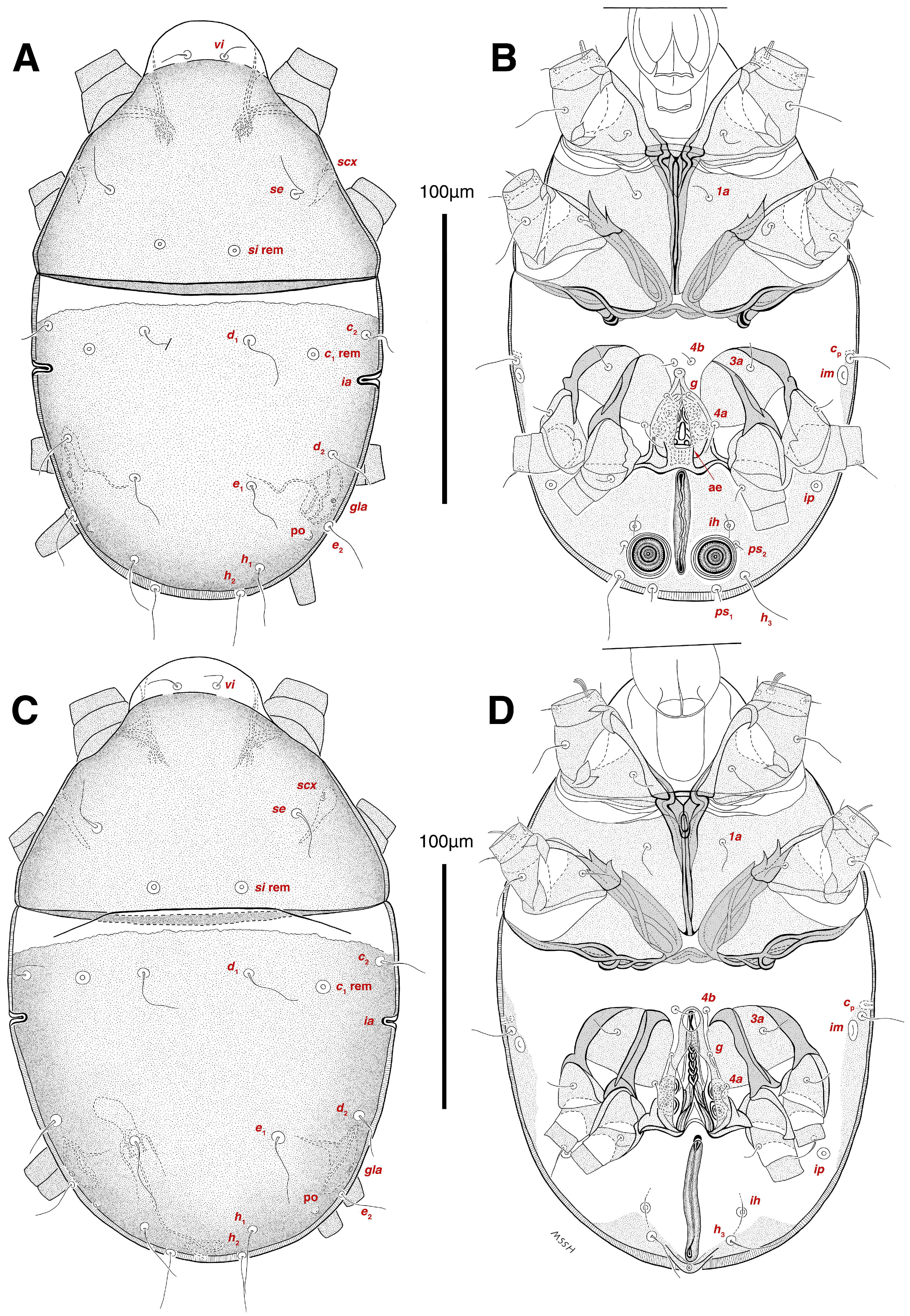 Insects 17 00237 g002