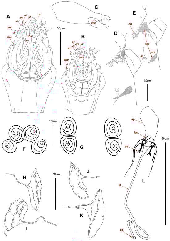 Insects 17 00237 g003