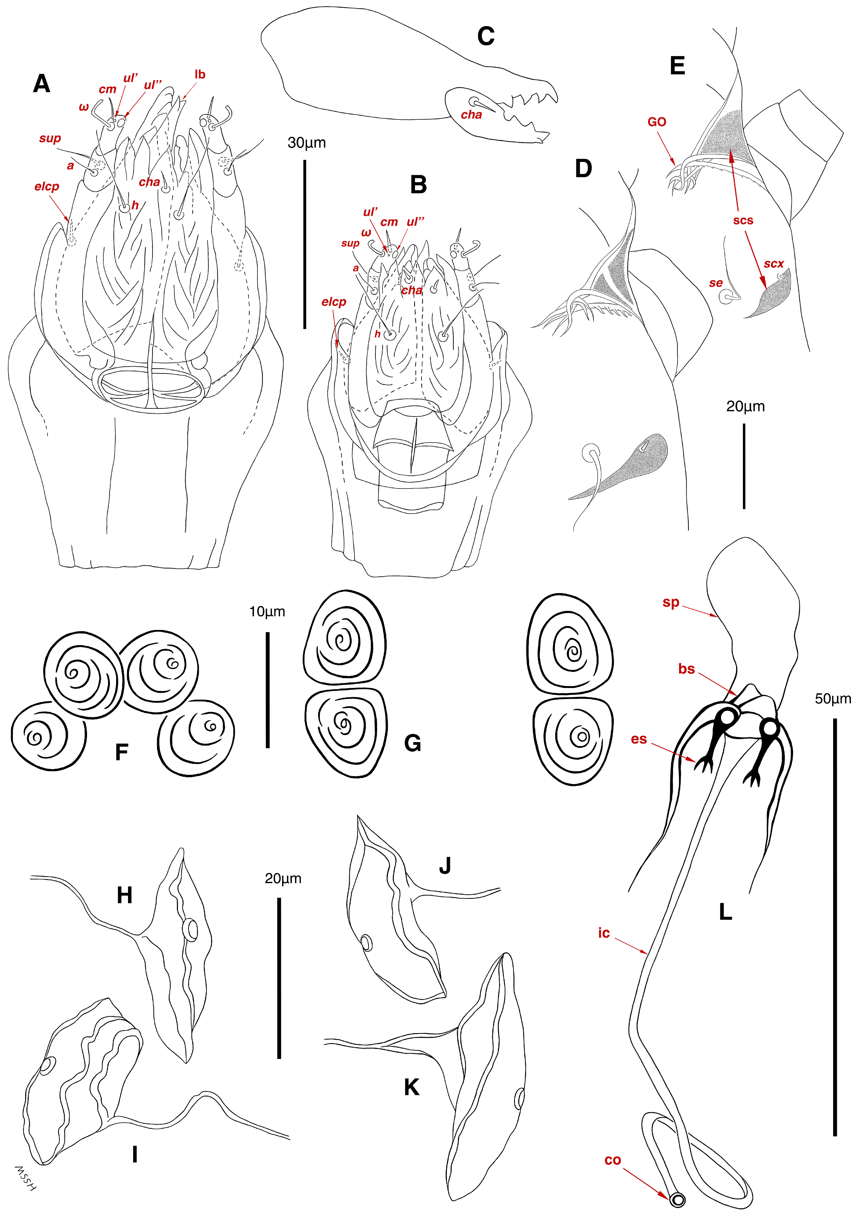 Insects 17 00237 g003