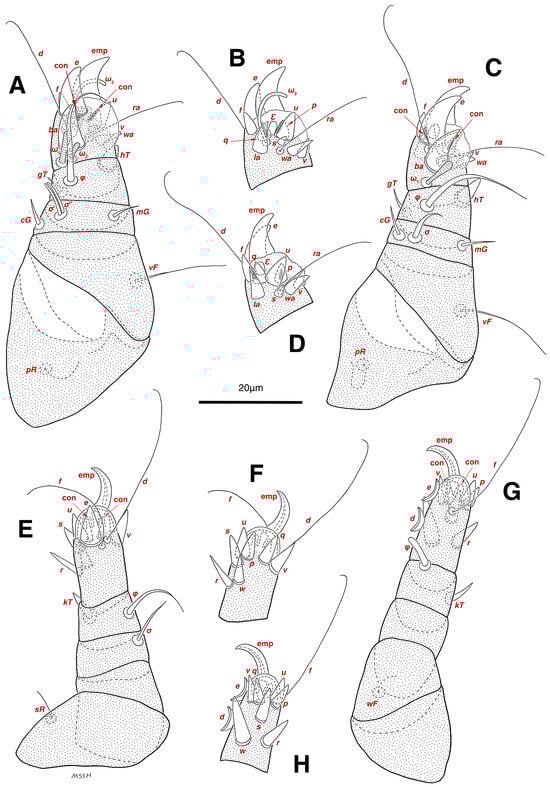 Insects 17 00237 g004