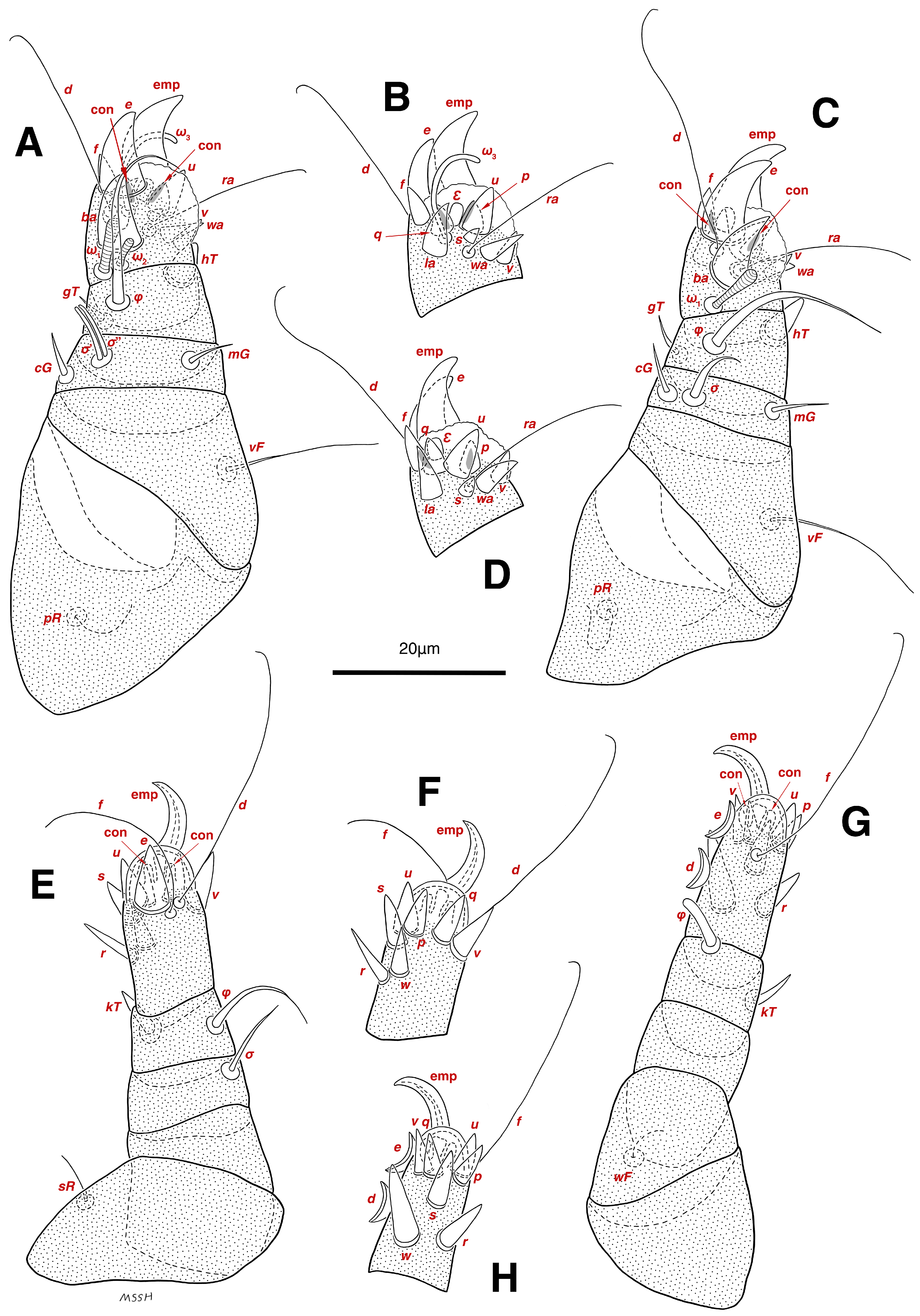 Insects 17 00237 g004