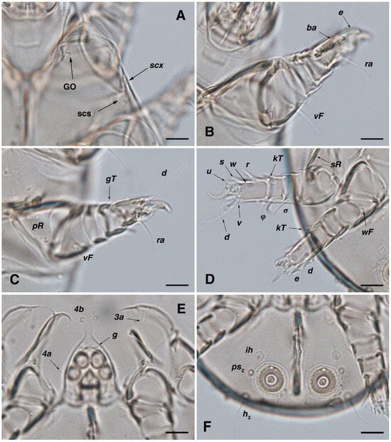 Insects 17 00237 g005