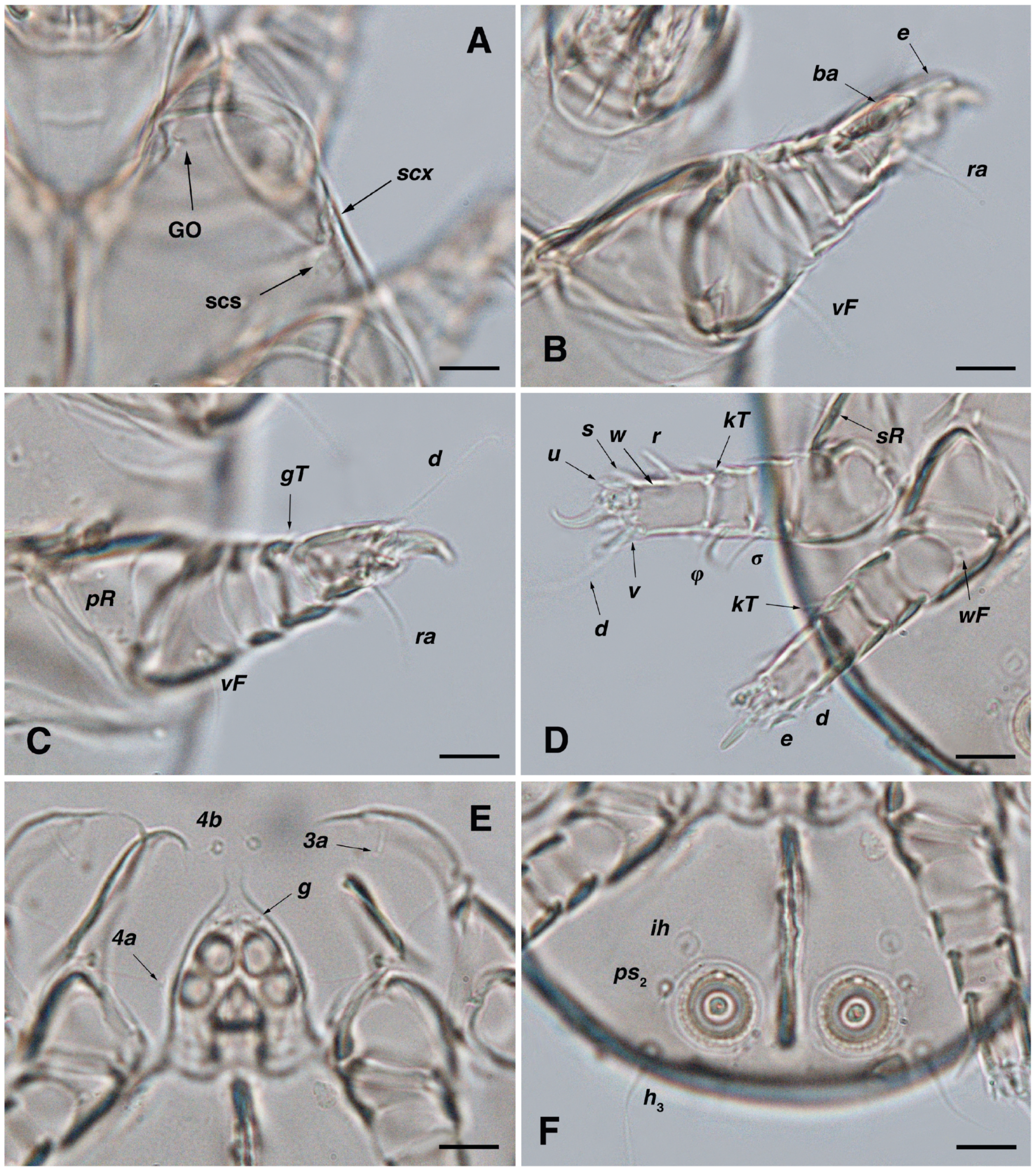 Insects 17 00237 g005