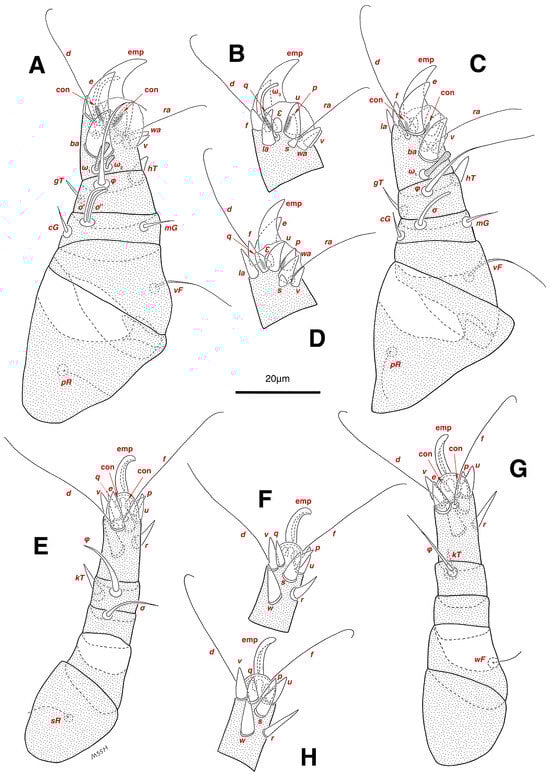 Insects 17 00237 g006