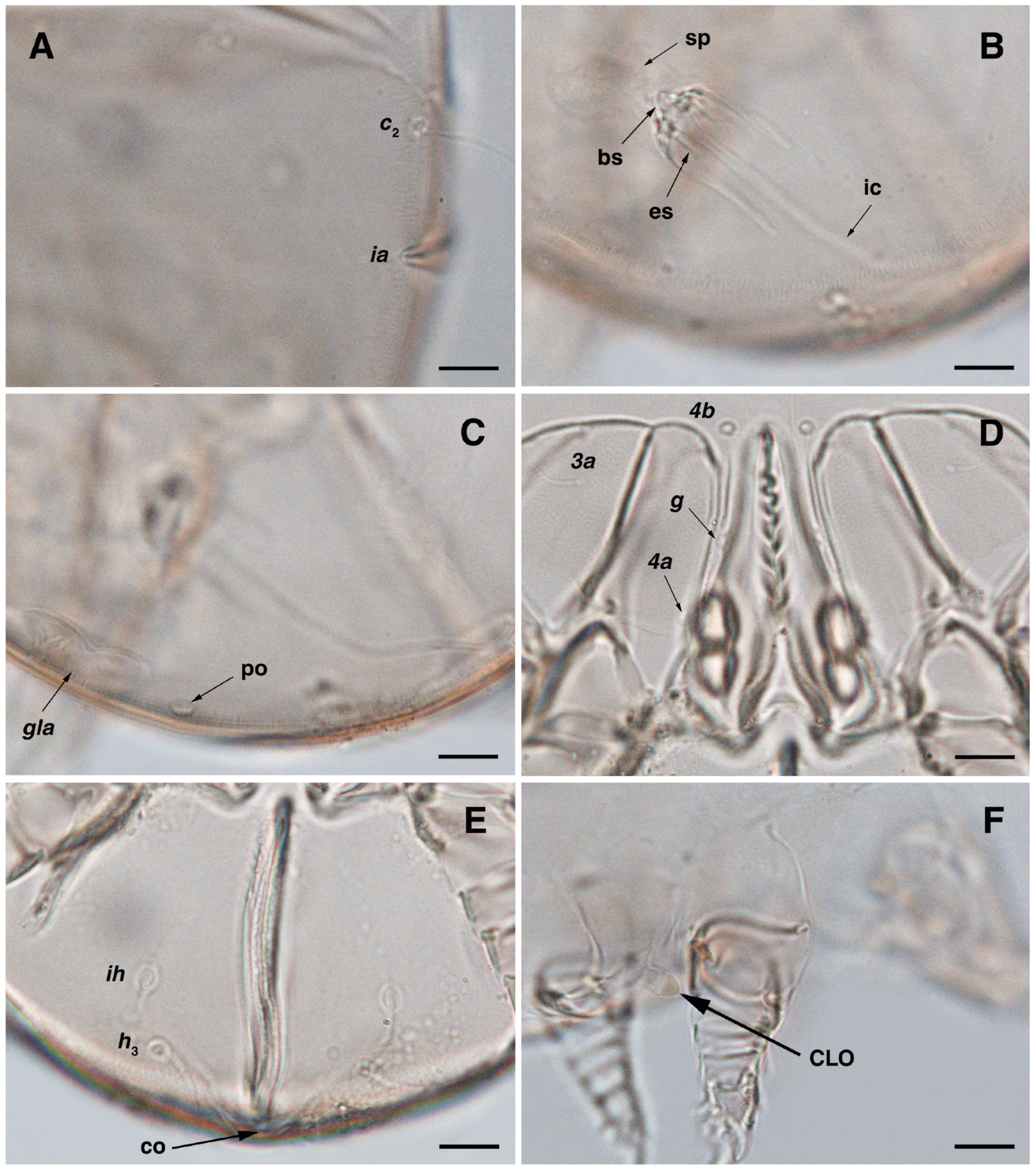 Insects 17 00237 g008