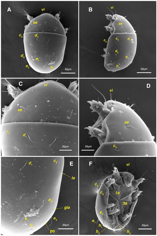 Insects 17 00237 g009