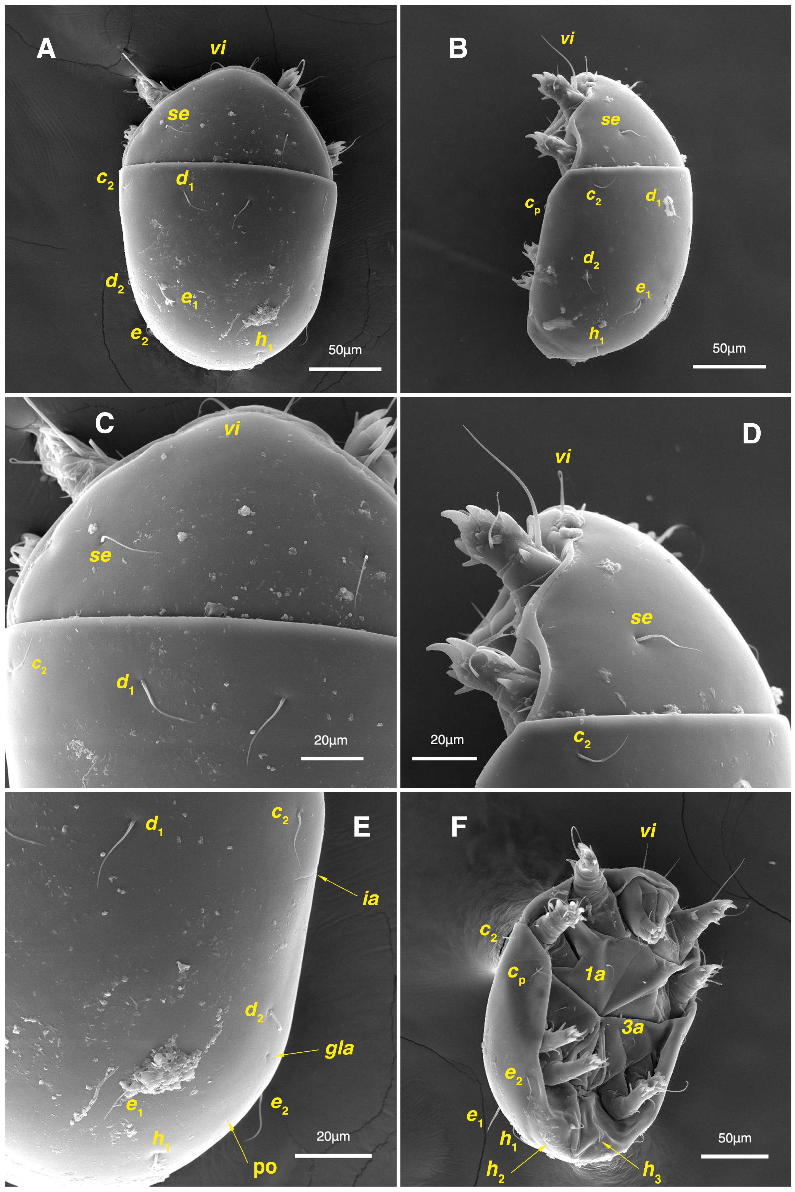 Insects 17 00237 g009