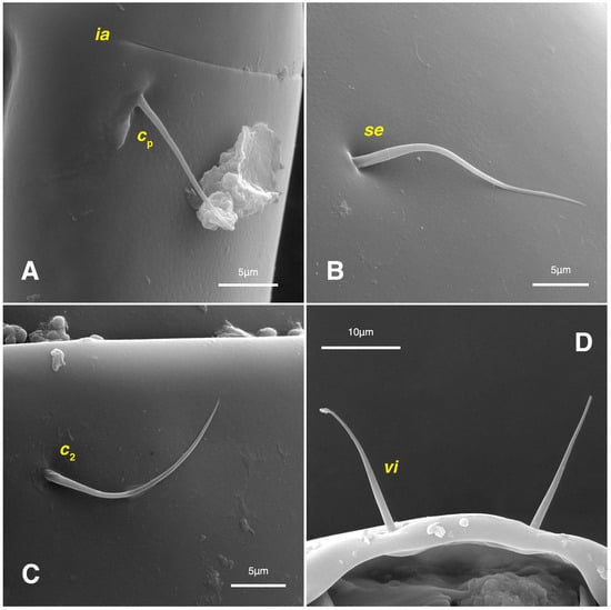 Insects 17 00237 g010