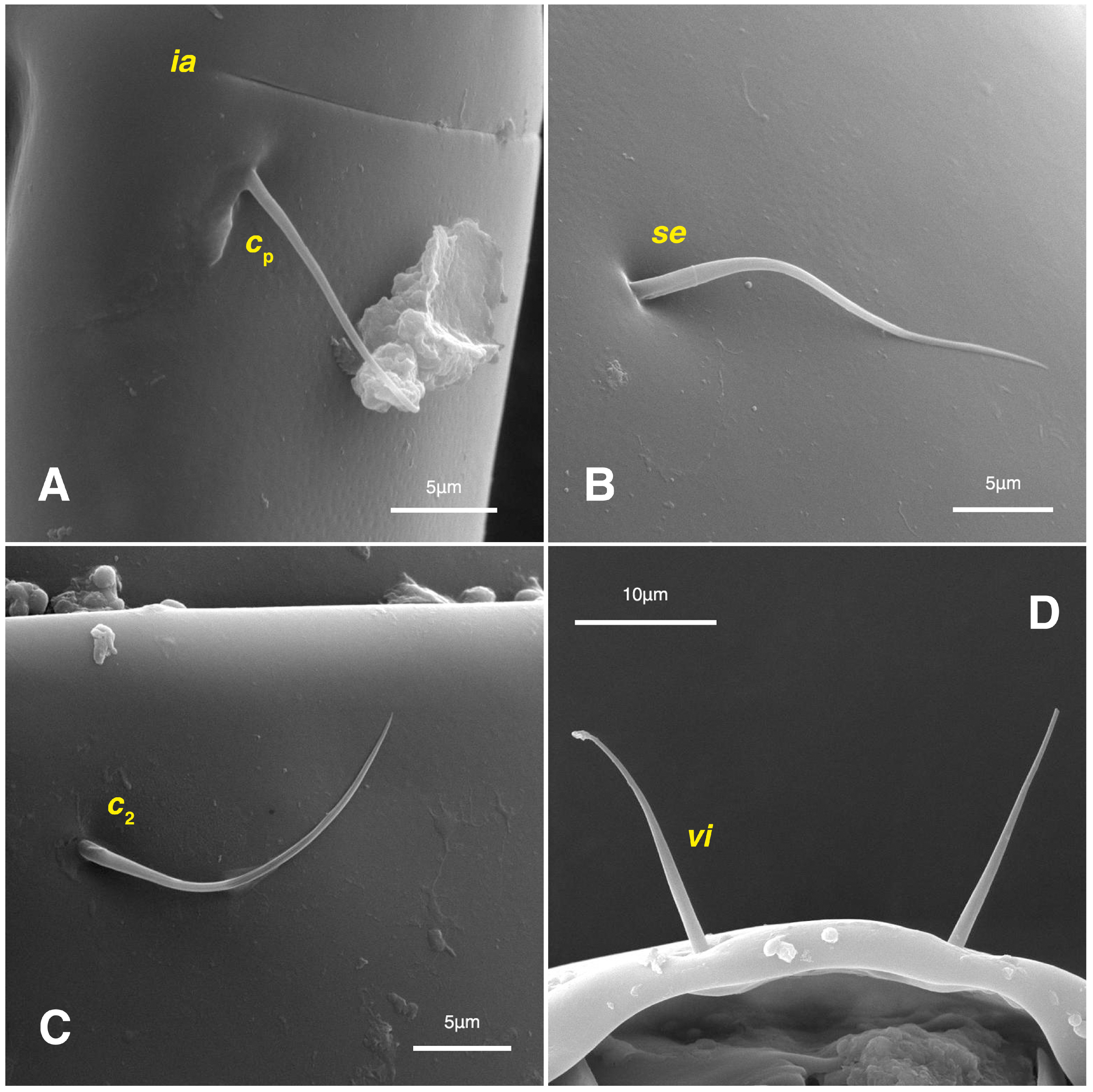 Insects 17 00237 g010