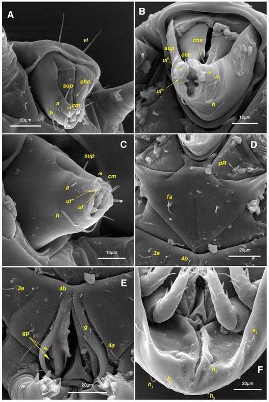 Insects 17 00237 g011