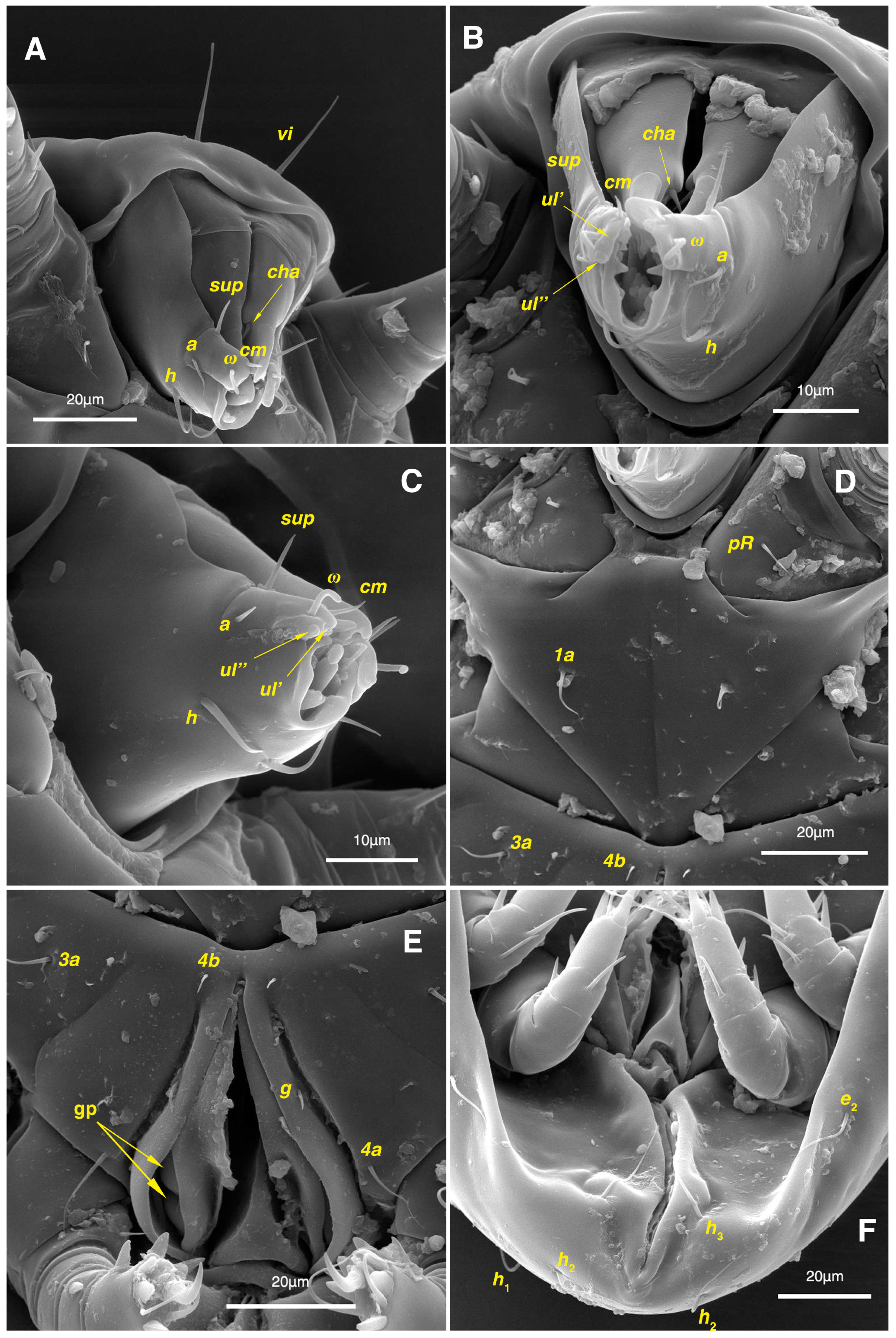Insects 17 00237 g011