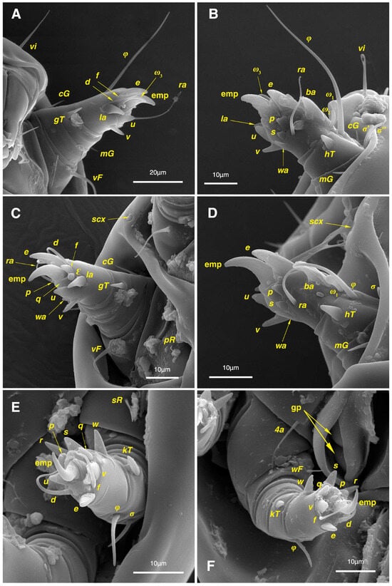 Insects 17 00237 g012