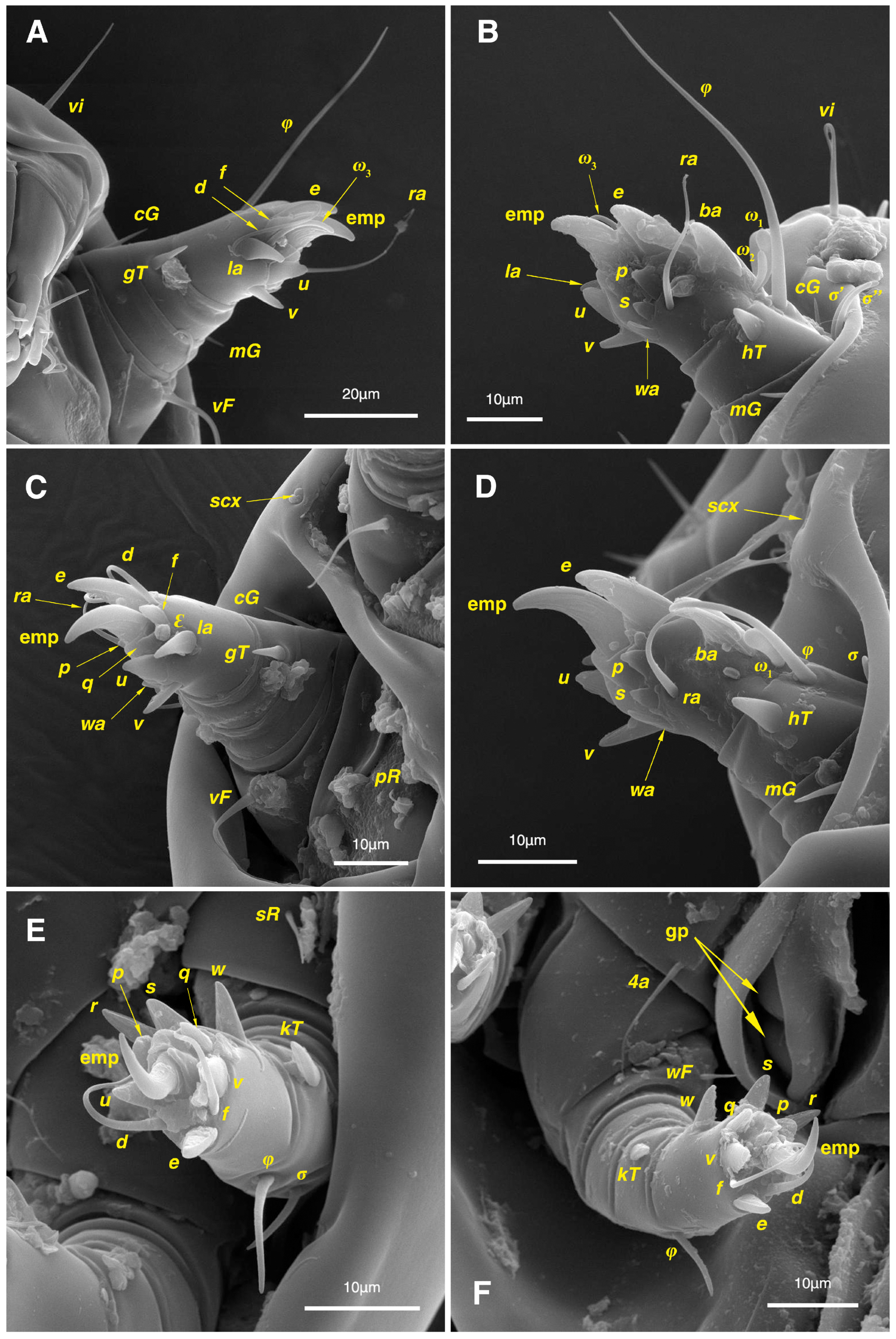 Insects 17 00237 g012