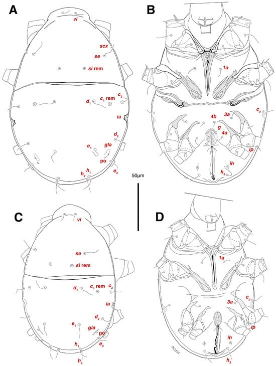 Insects 17 00237 g013