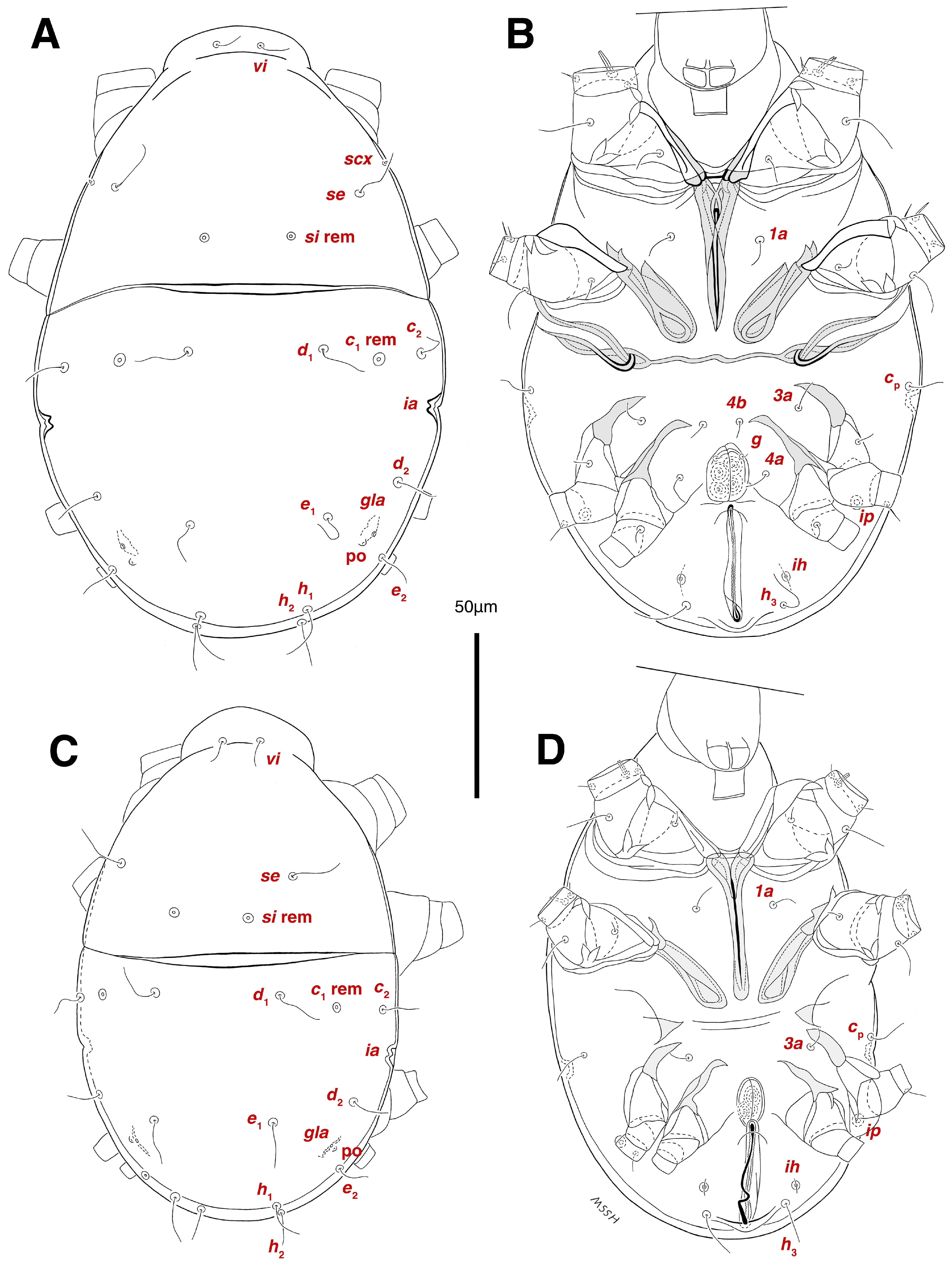 Insects 17 00237 g013