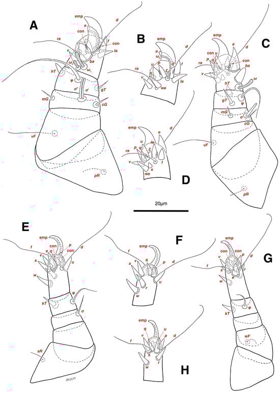 Insects 17 00237 g014