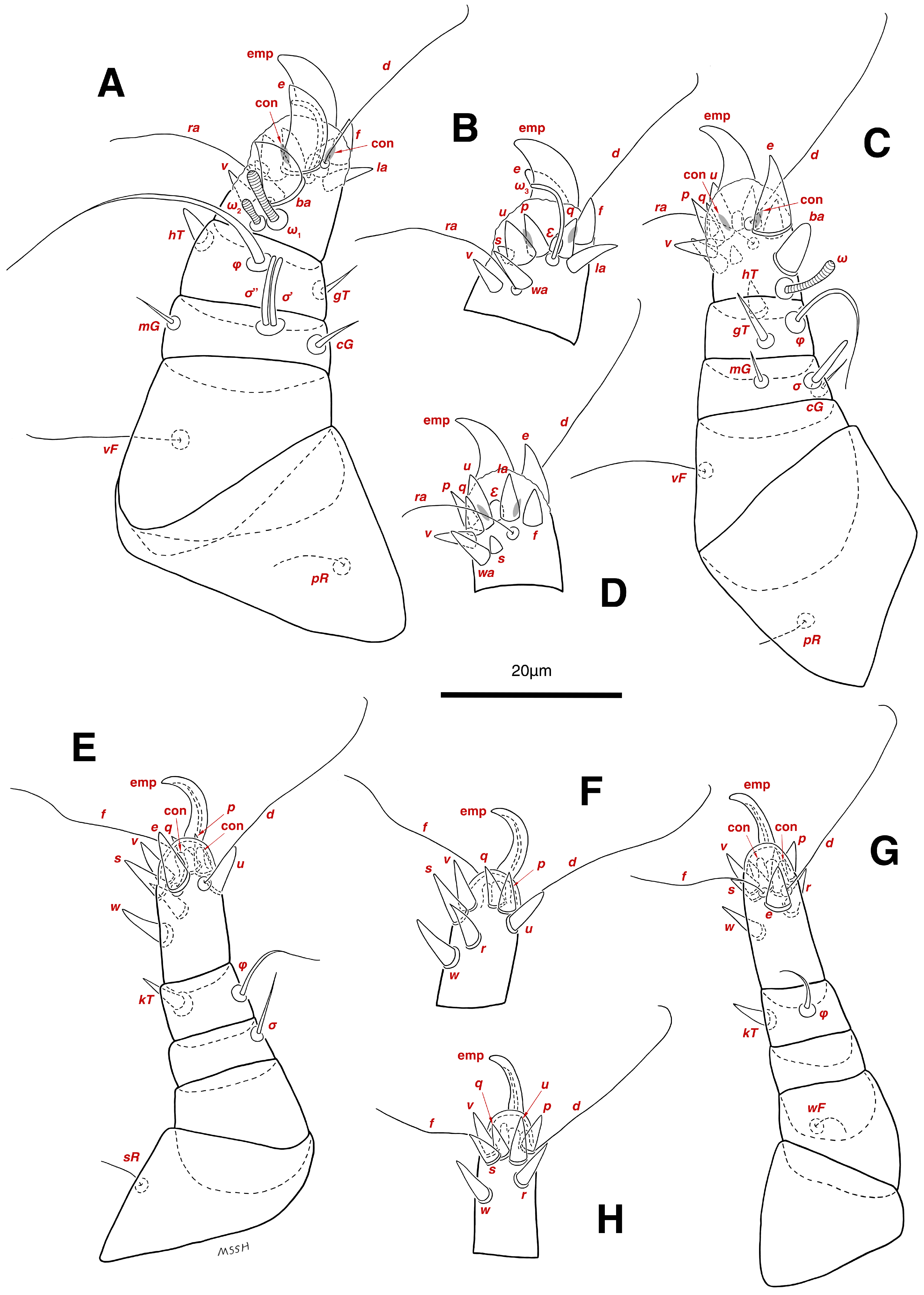 Insects 17 00237 g014