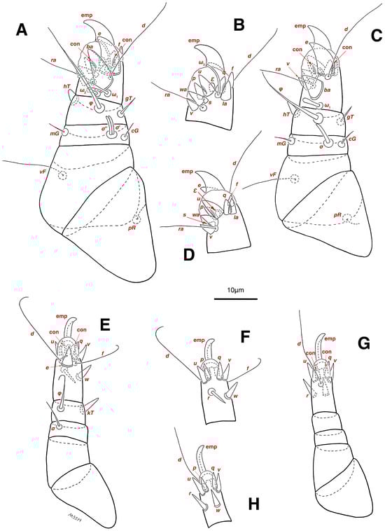 Insects 17 00237 g015