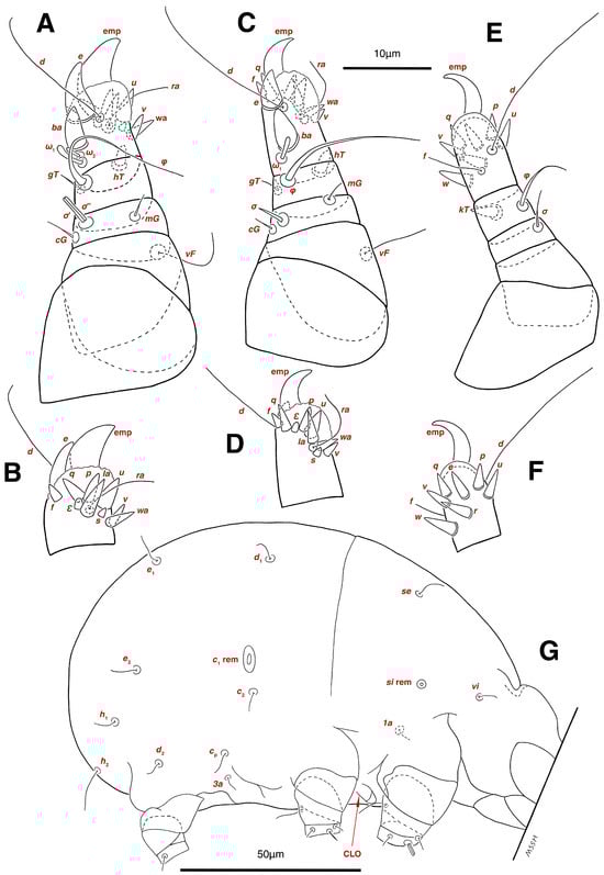 Insects 17 00237 g016