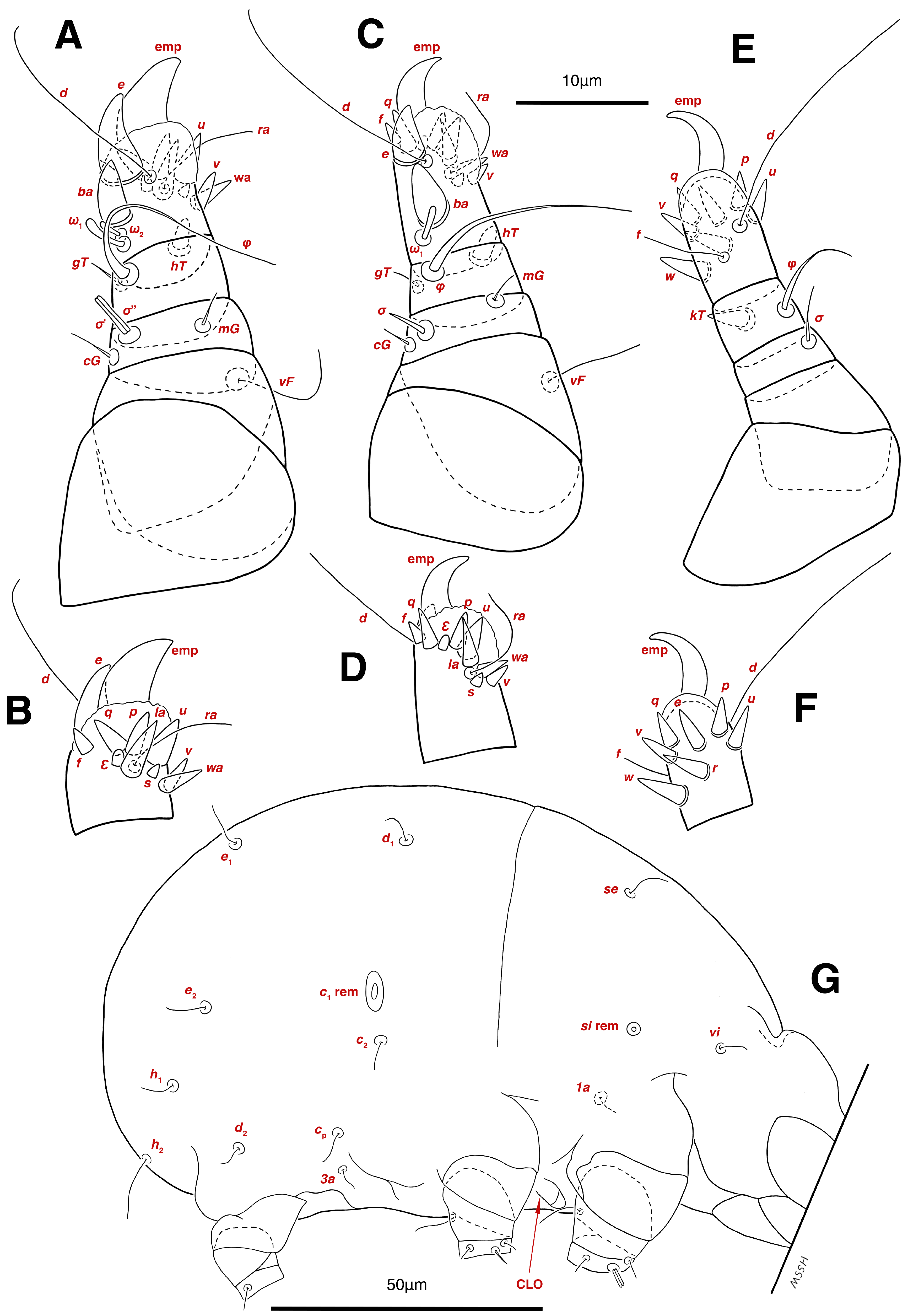 Insects 17 00237 g016