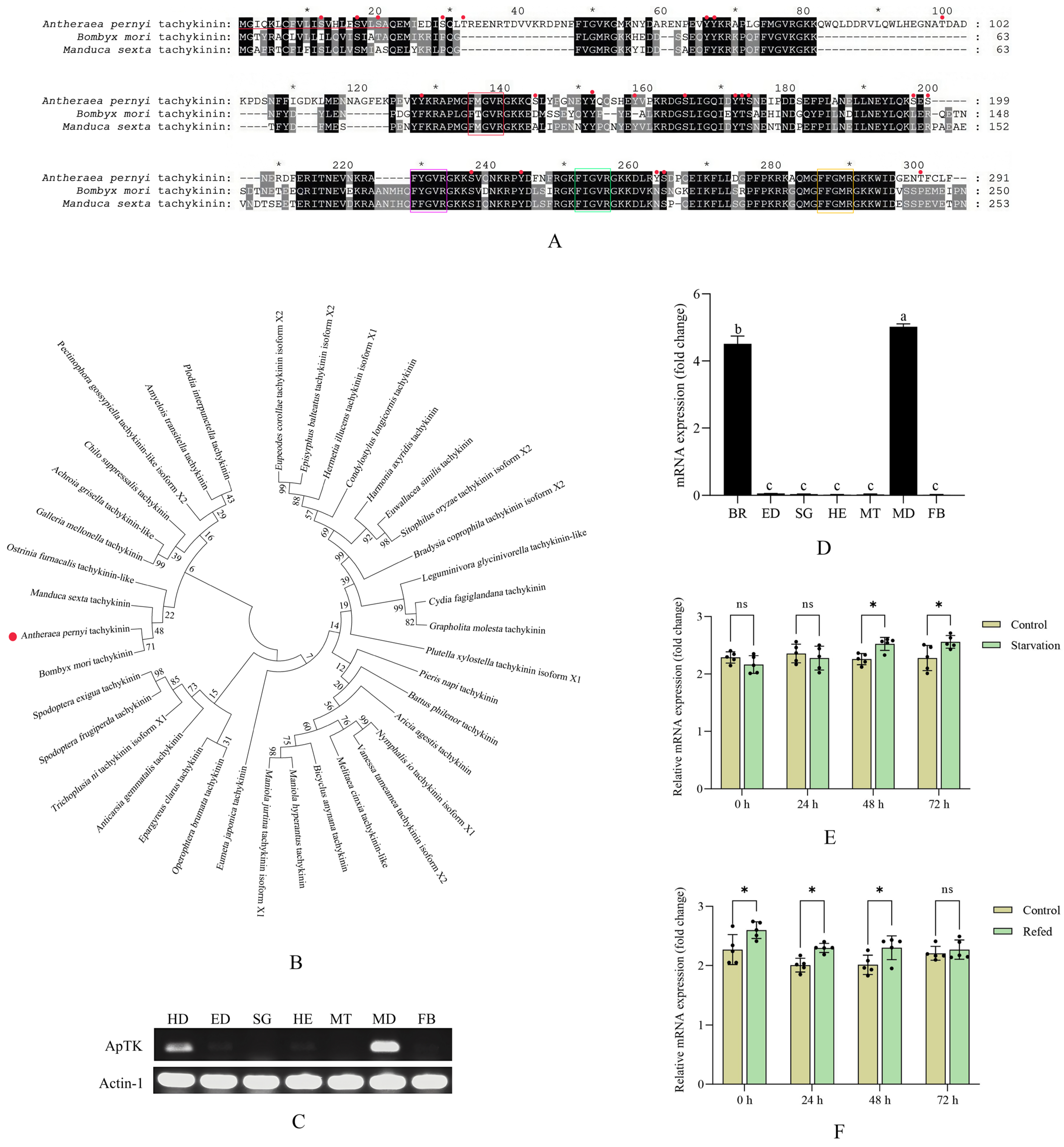 Insects 17 00257 g001 Insects 17 00257 g001