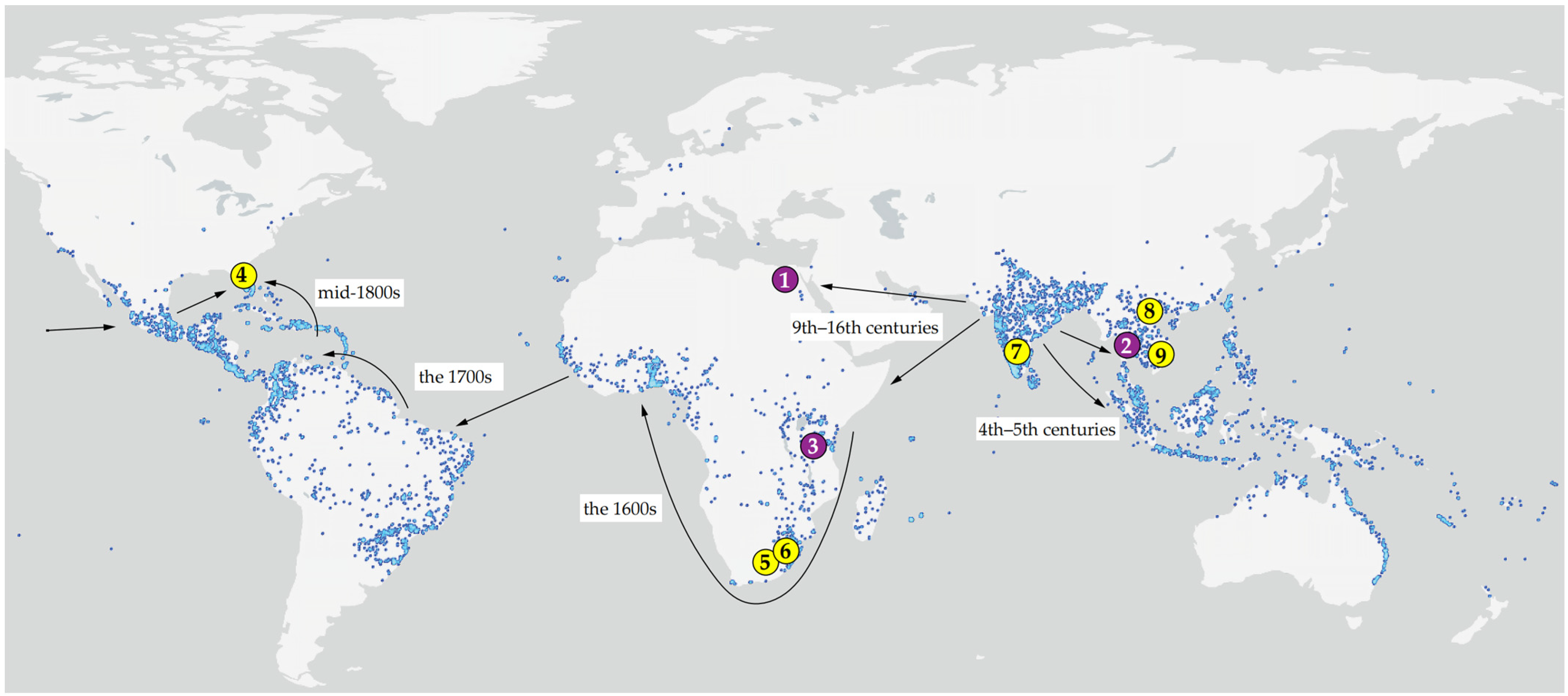 Insects 17 00259 g001